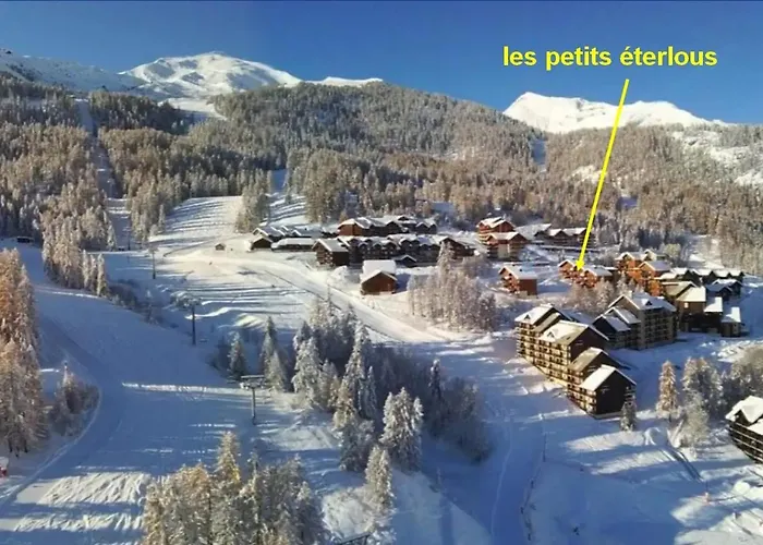 Les Petits Eterlous Appartement T3 36M2 A Puy St Vincent 1800 Alpes Du Sud 6 Personnes Parking Prive Couvert